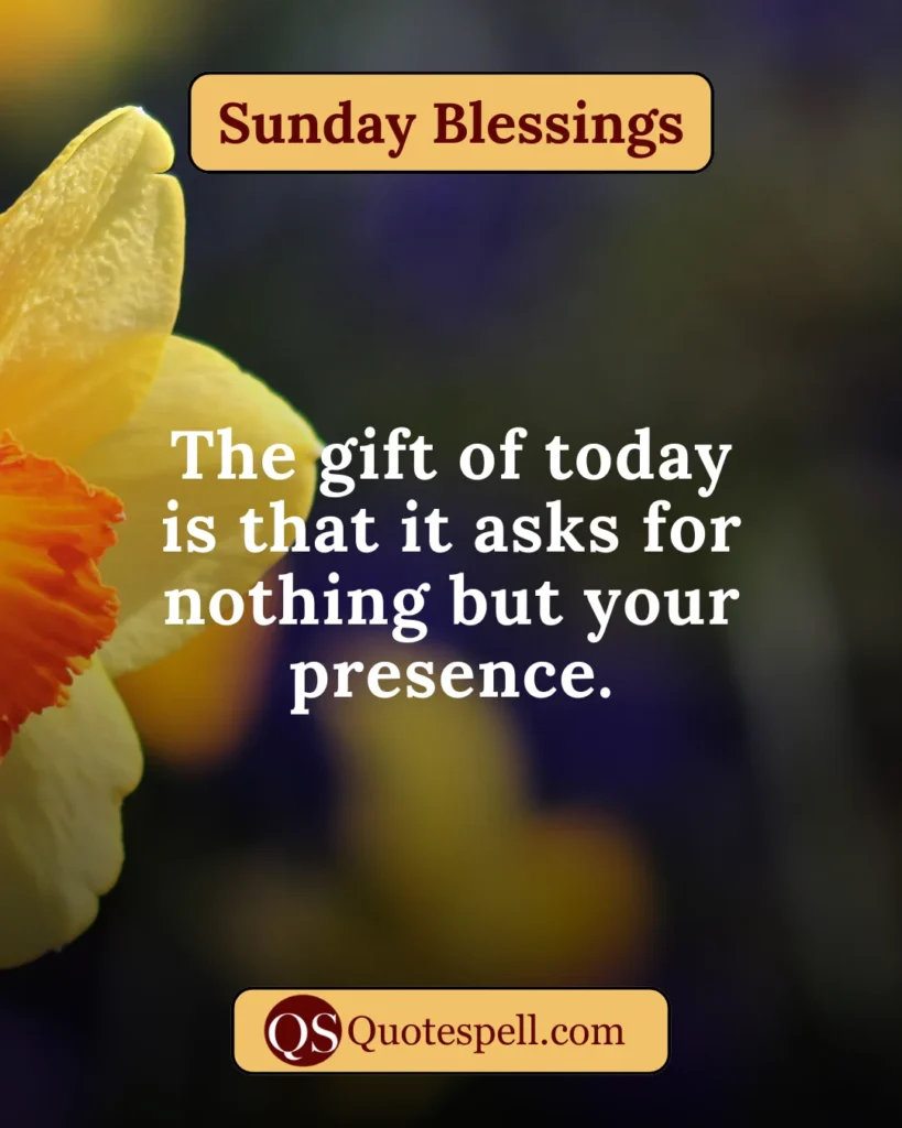 happy sunday quotes