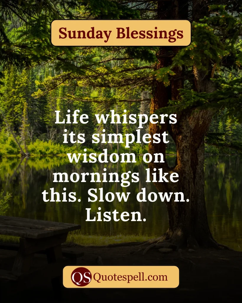 thankful sunday blessings