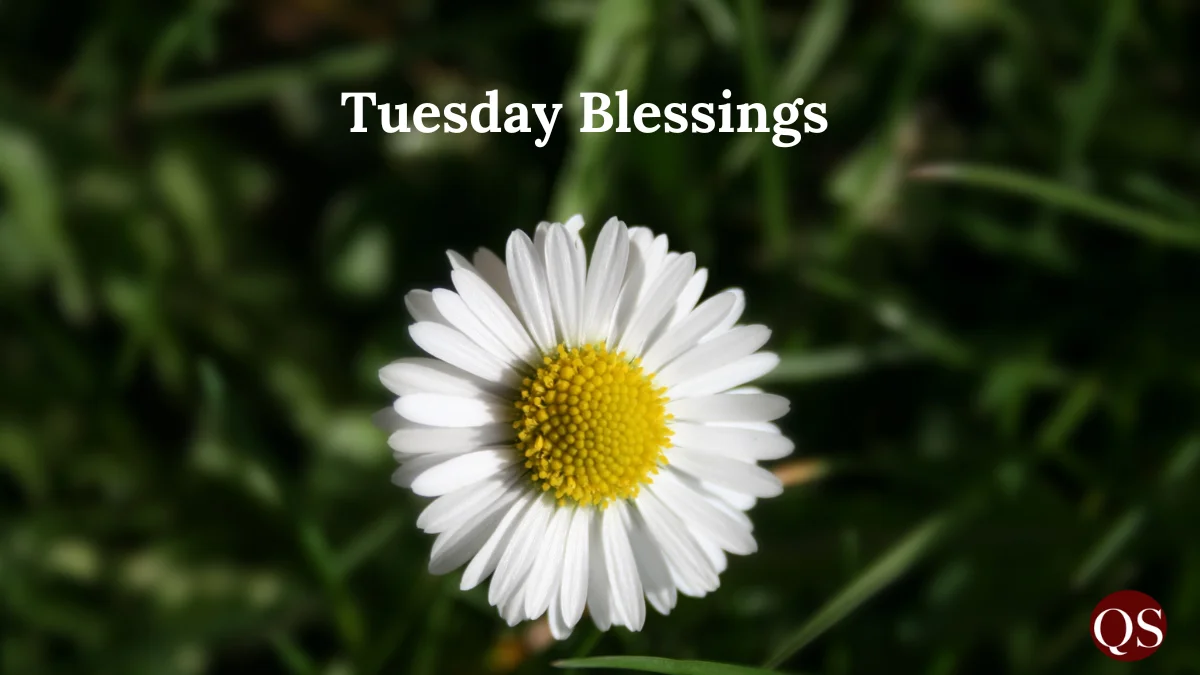 tuesday blessings