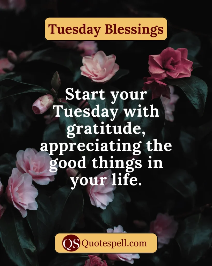 Tuesday Blessings