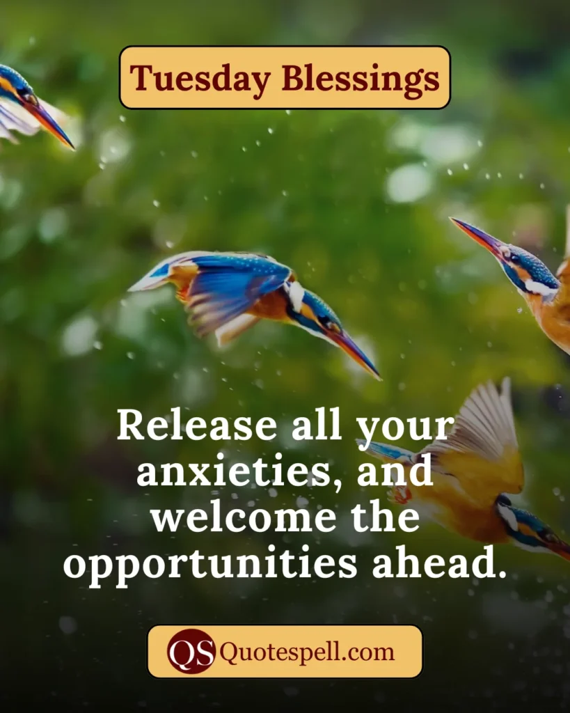 Thankful Tuesday blessings