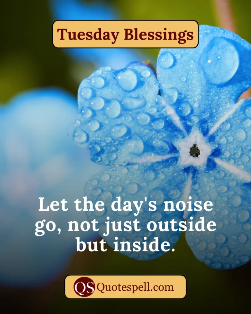 tuesday blessings good morning images and quotes