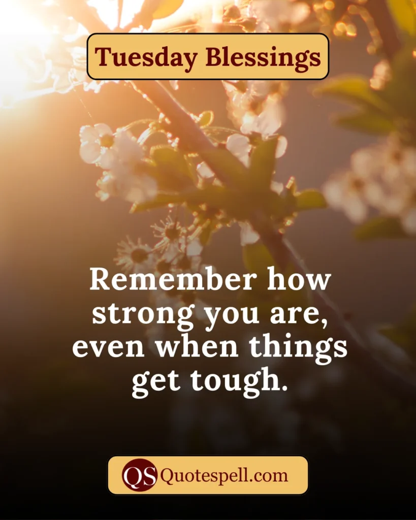 tuesday blessings quotes and images