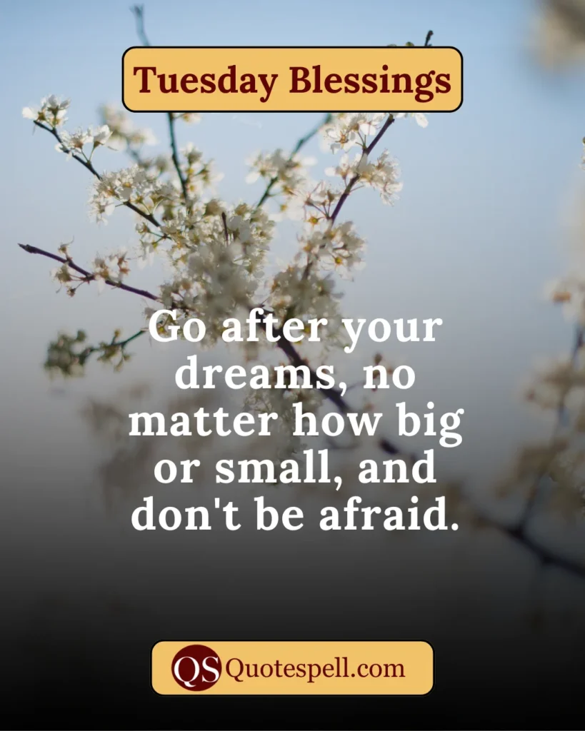 tuesday blessings good morning