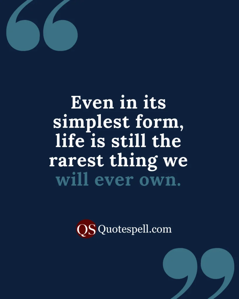 appreciation and gratitude quotes