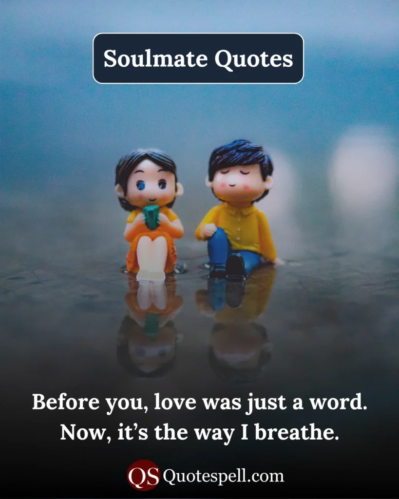 soulmate quotes short