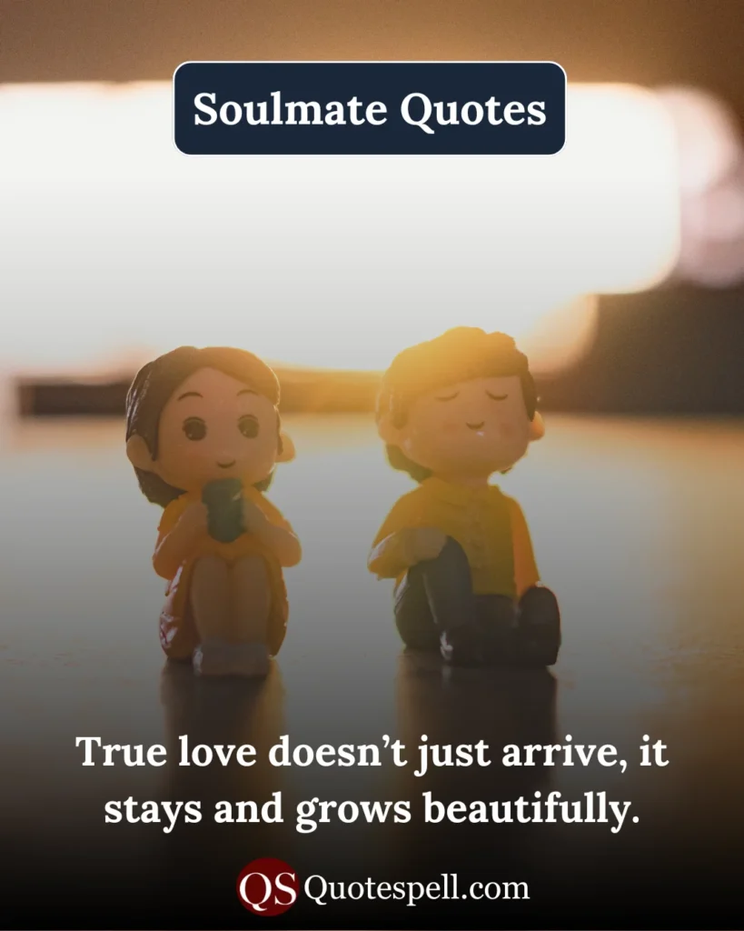 Expressions That Define True Soulmate Love